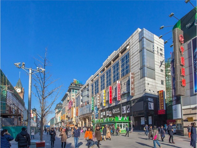 北京伺服精密压装机厂家